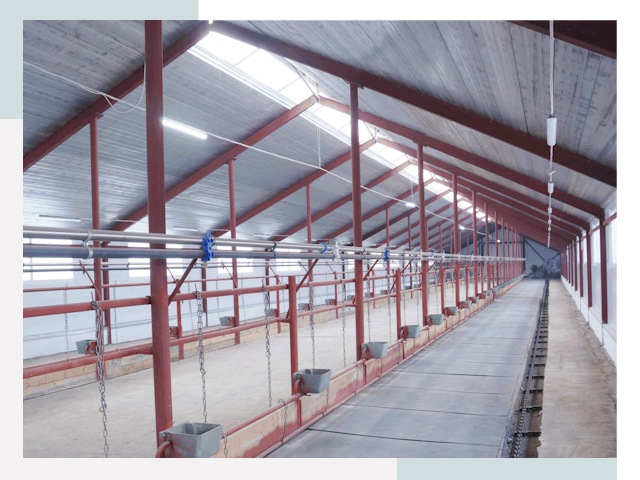 Строительство коровников в Тейково от 652 руб.