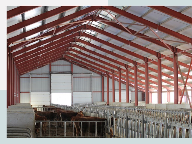 Строительство коровников в Тейково